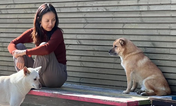 반려견 떠나보낸 이효리 "잘 가, 석삼이"