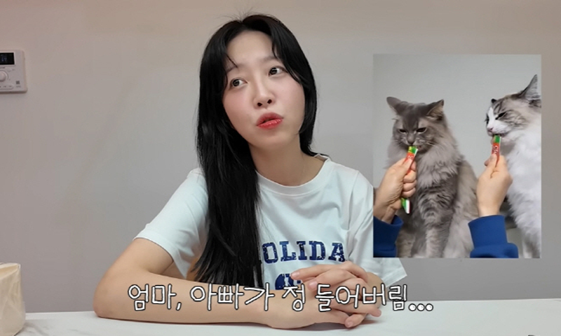 쯔양, 반려묘 유기 의혹 해명 "본가에 맡겨"