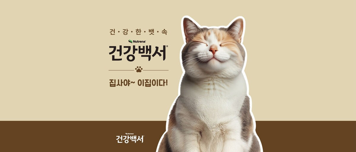 우리 고양이가 배변문제 겪는다면?… ‘궁팡’ 건강백서캣 찾아가라옹