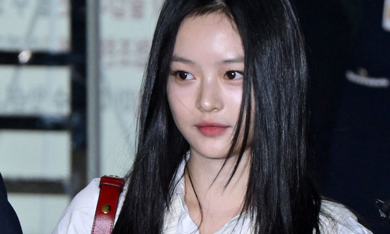 뉴진스 하니 악플러, 합의로 처벌 피했다