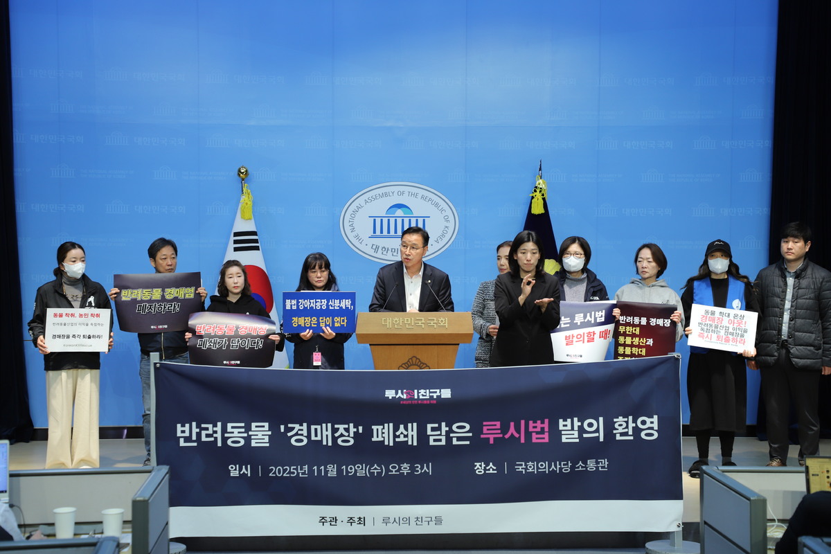 ‘반려동물 경매장’ 폐쇄하라… 동물보호법 개정안 ‘K-루시법’ 발의