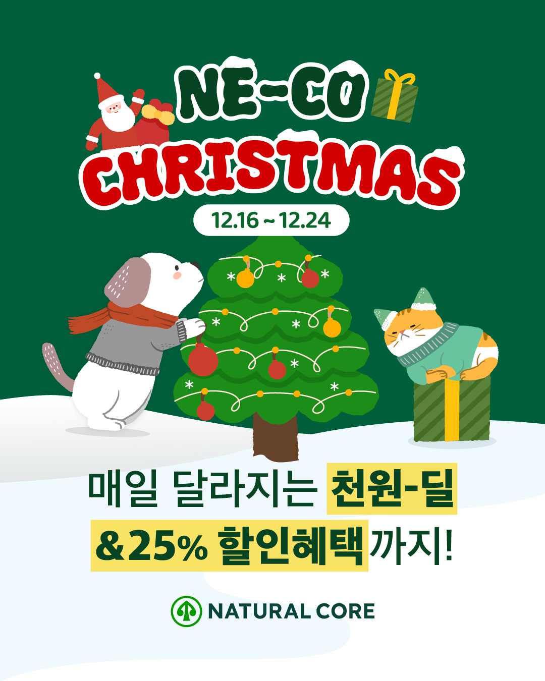 “네코 펫푸드를 1000원에… 댕냥이 성탄 선물세트 직접 만들어볼까?”