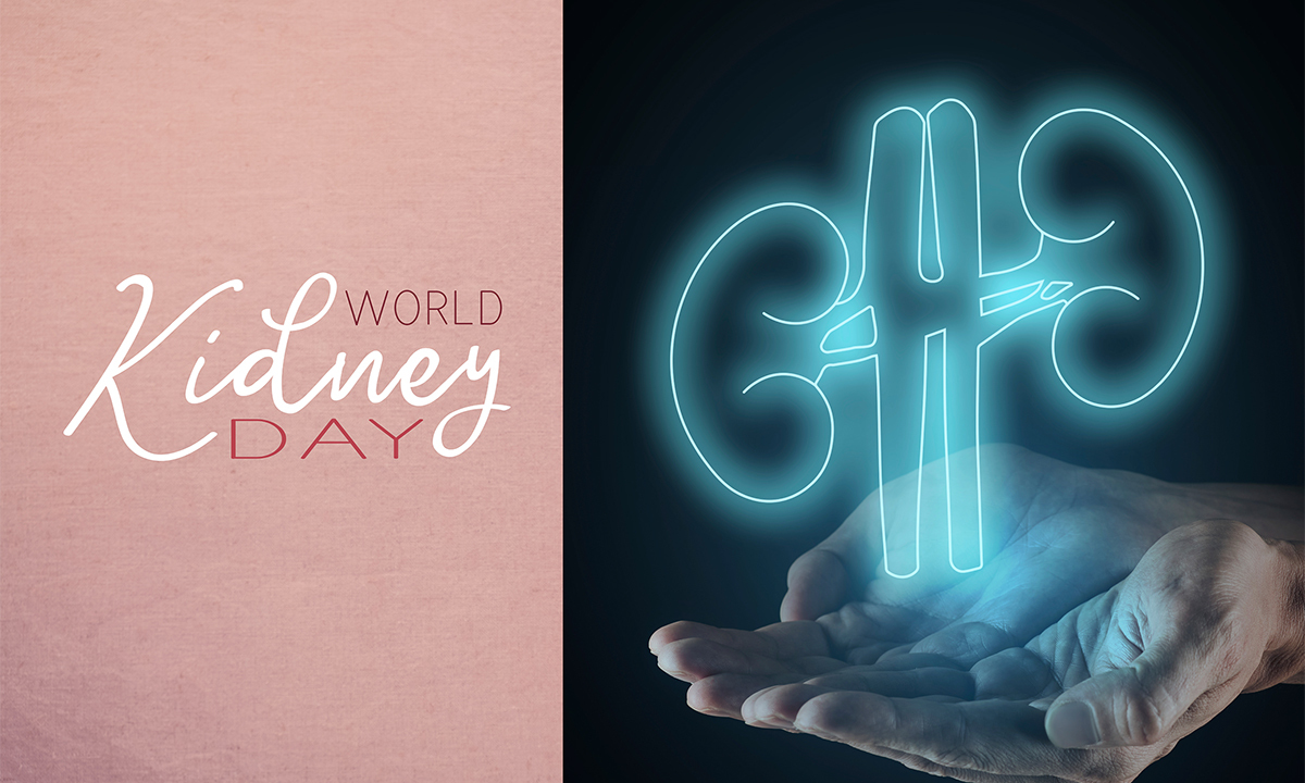 “콩팥 혈관을 보면 보인다”