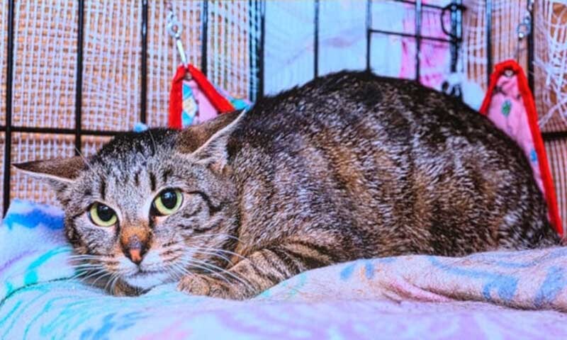 당신이 오늘도 깨물린 이유?