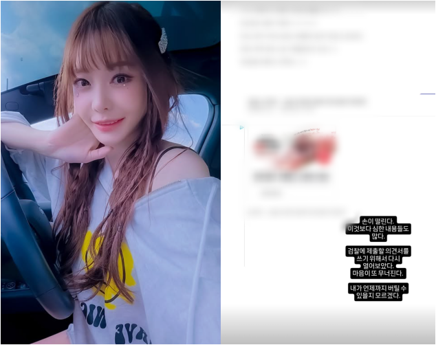 사진 = 서유리 SNS 계정