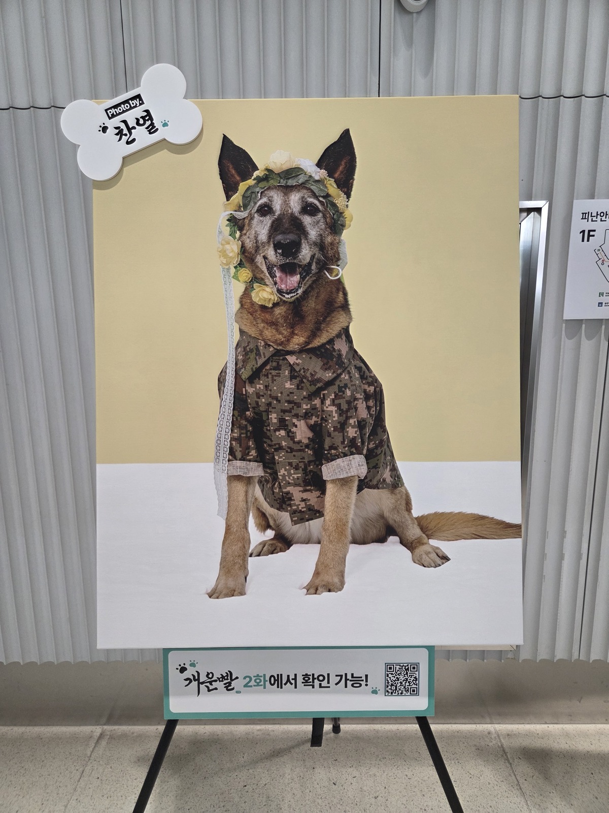 서울 iM금융센터 1층 로비에 찬열이 찍은&nbsp;‘유라’의 사진이&nbsp;전시돼 있다. 박재림 기자