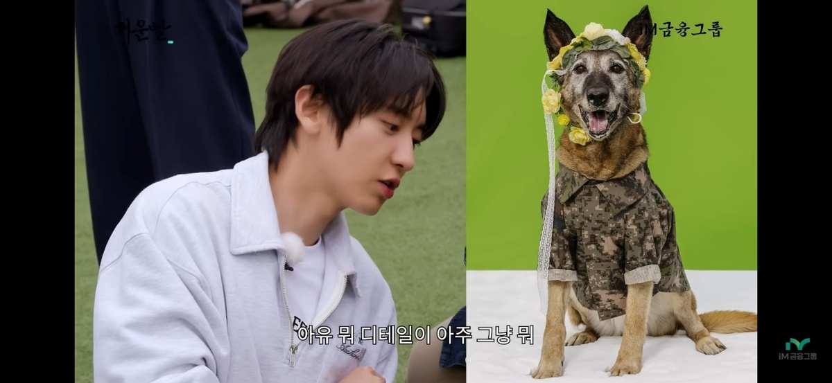 엑소 찬열과 찬열이&nbsp;직접 촬영한 퇴역군견&nbsp;‘유라’ 사진. iM금융그룹 유튜브 영상 갈무리
