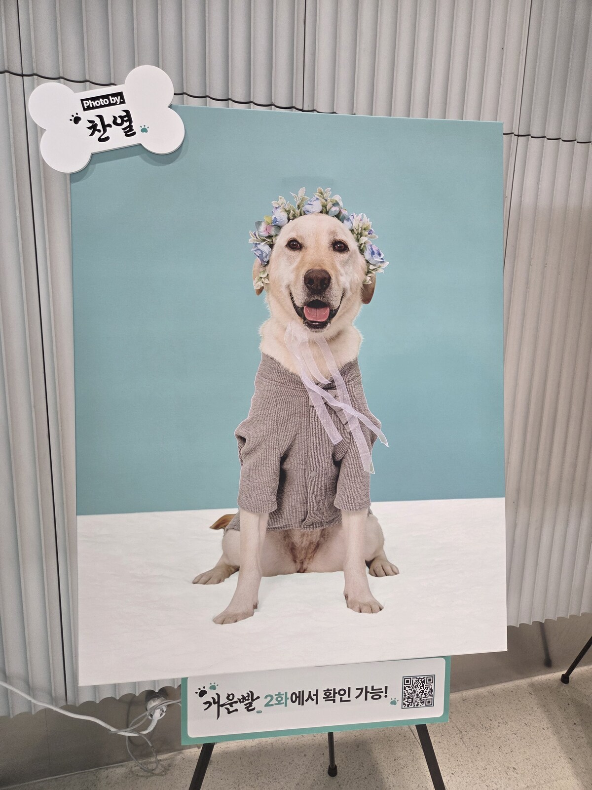 서울 iM금융센터 1층 로비에&nbsp;찬열이 찍은 ‘라떼’의 사진이 전시돼 있다. 박재림 기자