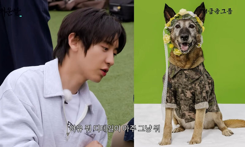 '토벤·짜르 아빠' 찬열… 유기견 사진전 작가된 사연은?
