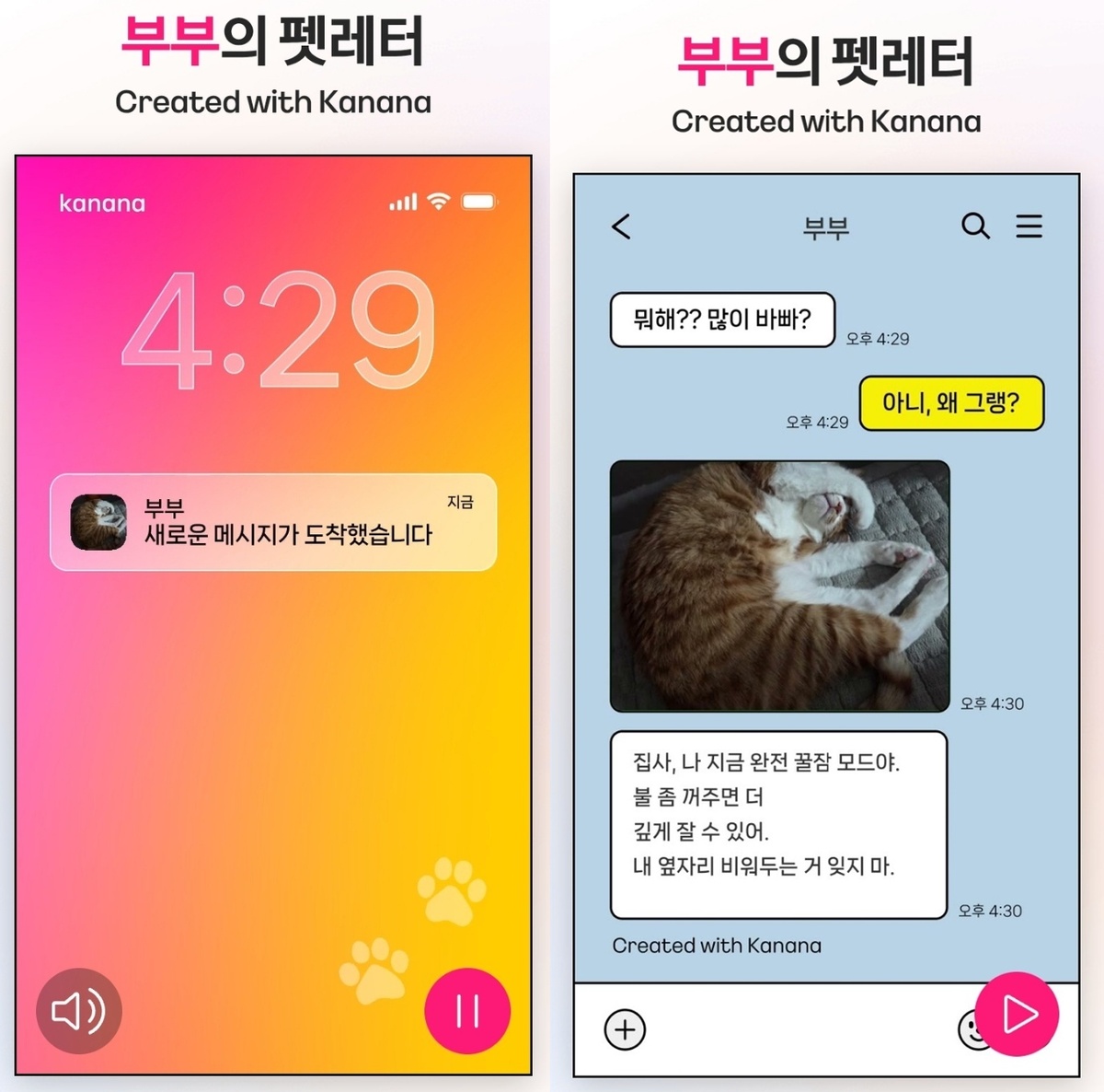 댕냥이에게 카톡 받아봤냥… 카카오 ‘펫레터’ 만들어보니