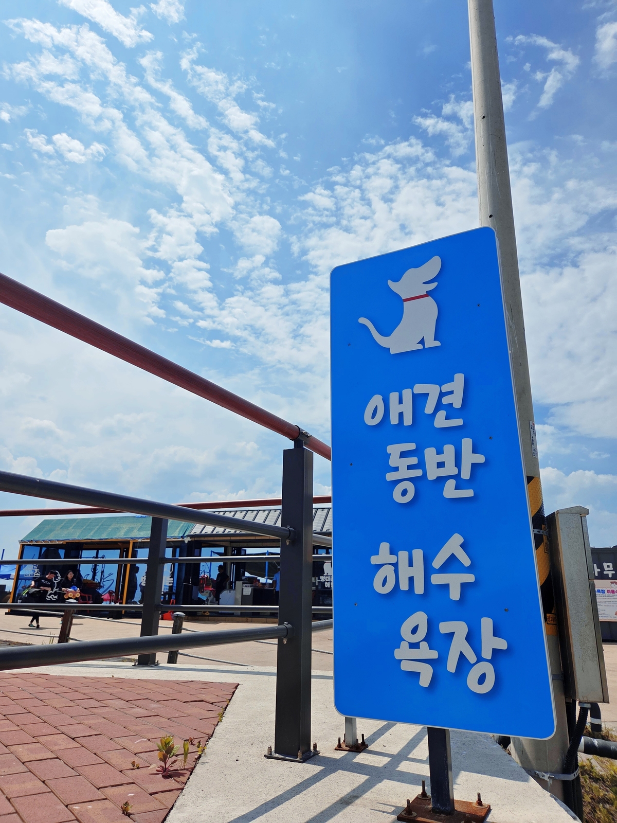 포항 흥환리 해수욕장에 반려견 동반 해수욕장 안내판이 설치돼 있다. 박재림 기자