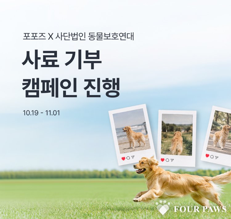 포포즈의 따스한 캠페인 “댕냥이와 추억 공유하면 유기동물 사료 쌓인다”